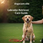 Labrador Retriever Care Guide 2025 – Training, Diet & Health Tips