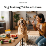 10 Easy Dog Training Tricks at Home – Pet Guide 2025