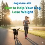 How to Help Your Dog Lose Weight Safely at Home 2025