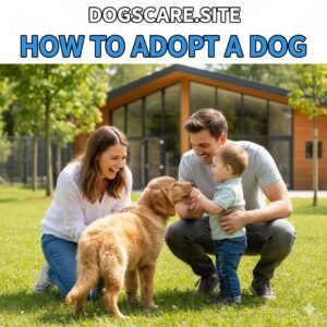 How to Adopt a Dog the Right Way โ Step-by-Step Guide 2025