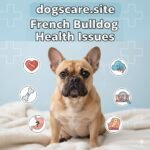 French Bulldog Health Issues & Prevention Tips 2025